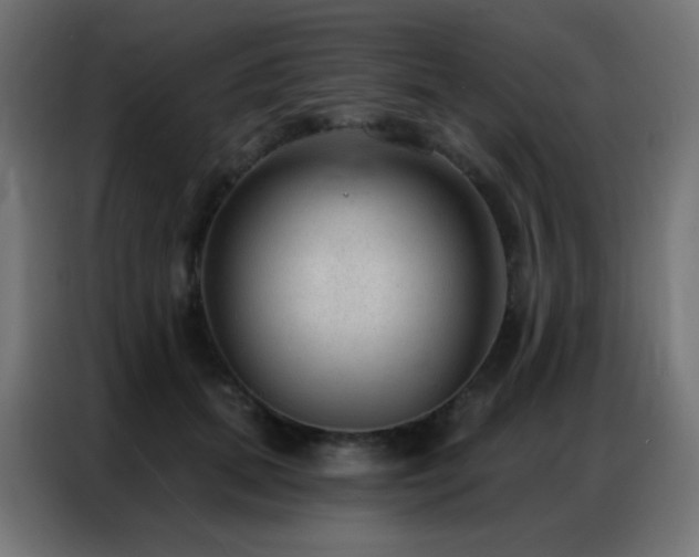 X0000086930655200704161425