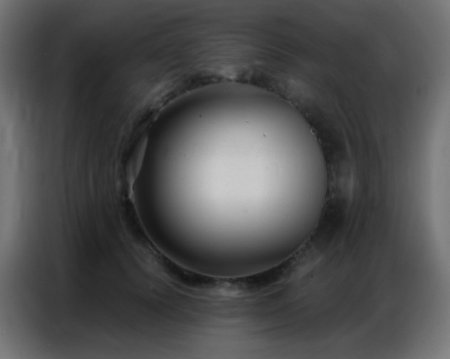 X0000086930656200704161425