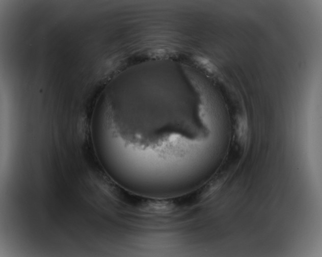 X0000086930659200704161425