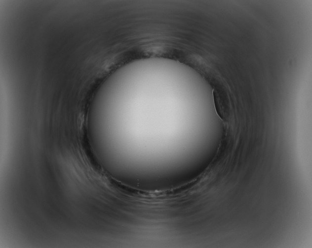 X0000086930660200704161425