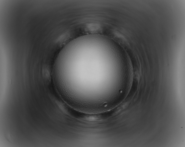 X0000086930662200704161425