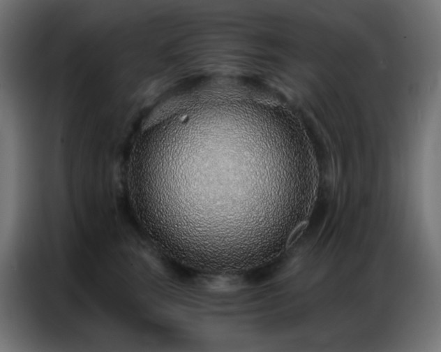 X0000086930663200704161425