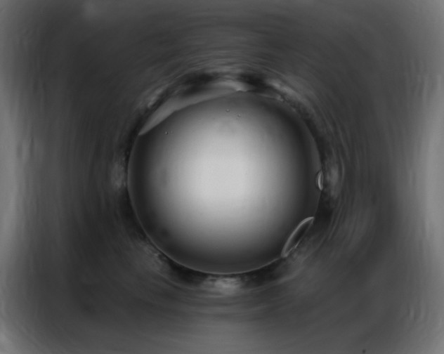 X0000086930665200704161425