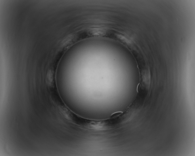 X0000086930667200704161425