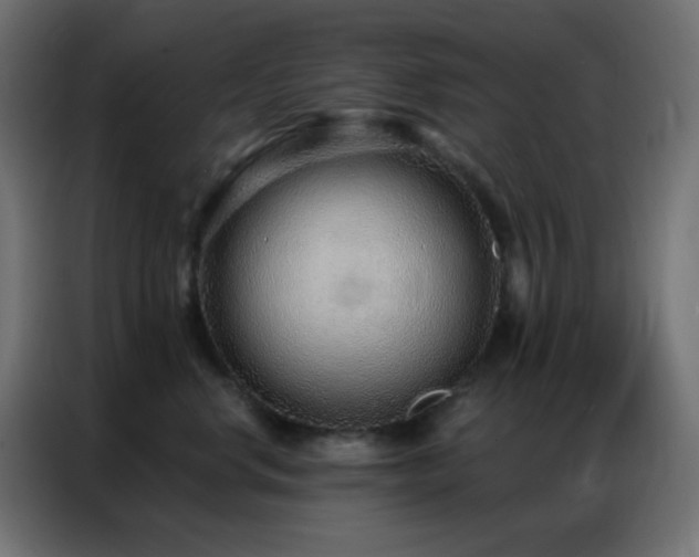 X0000086930668200704161425
