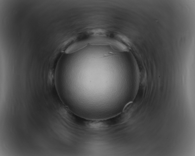 X0000086930669200704161425