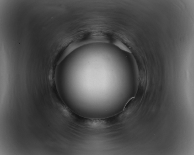 X0000086930670200704161425