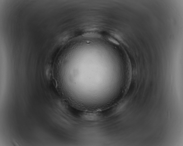 X0000086930671200704161425