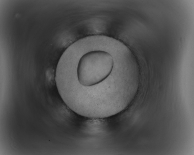X0000086930672200704161425