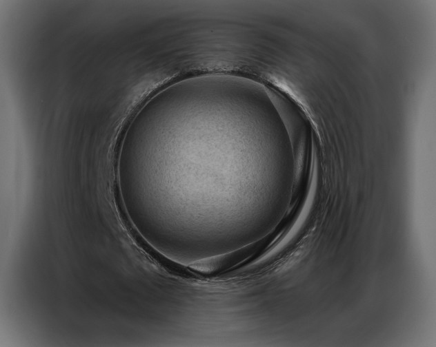 X0000086930673200704161425