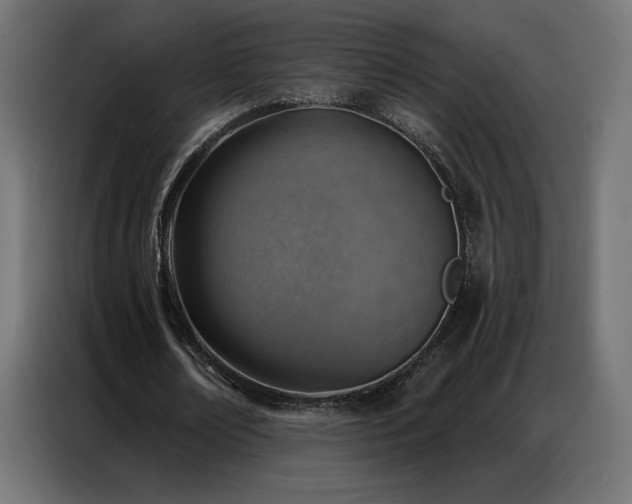 X0000086930674200704161425