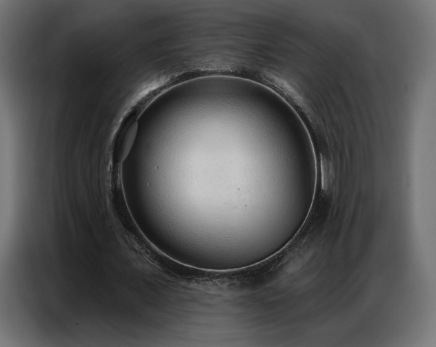 X0000086930675200704161425