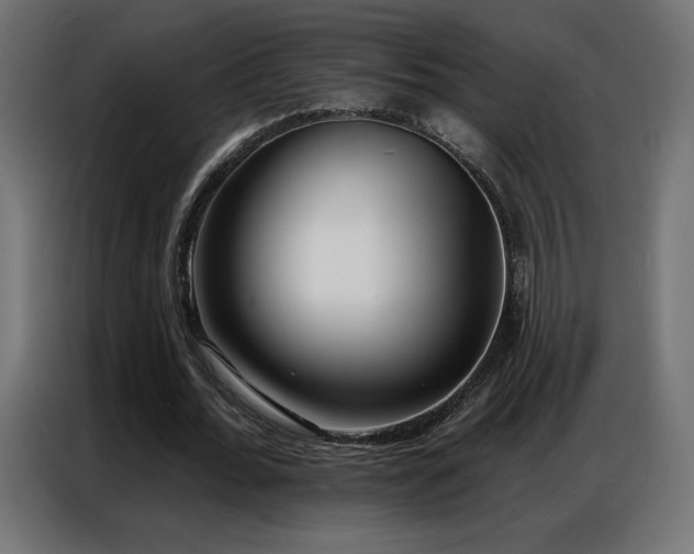 X0000086930676200704161425