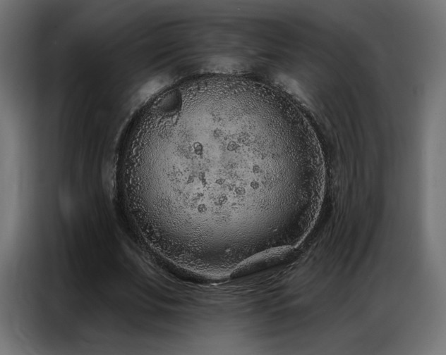 X0000086930679200704161425
