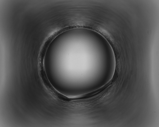 X0000086930680200704161425