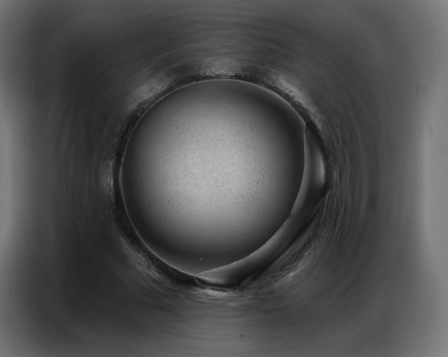 X0000086930681200704161425