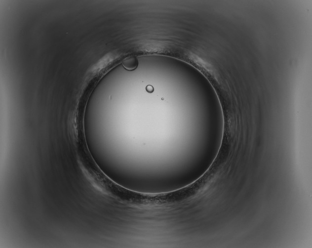 X0000086930682200704161425