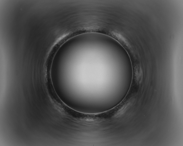 X0000086930684200704161425