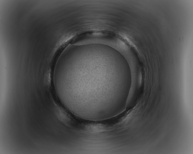 X0000086930685200704161425