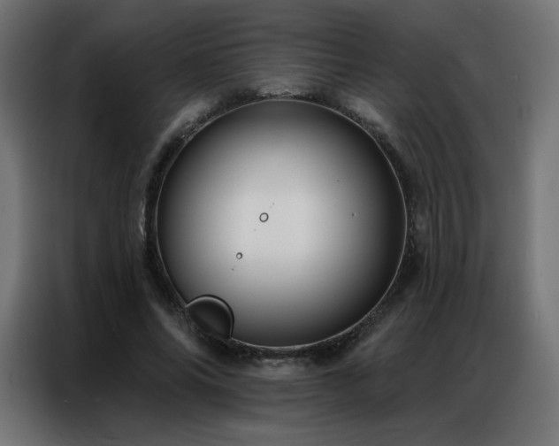 X0000086930686200704161425