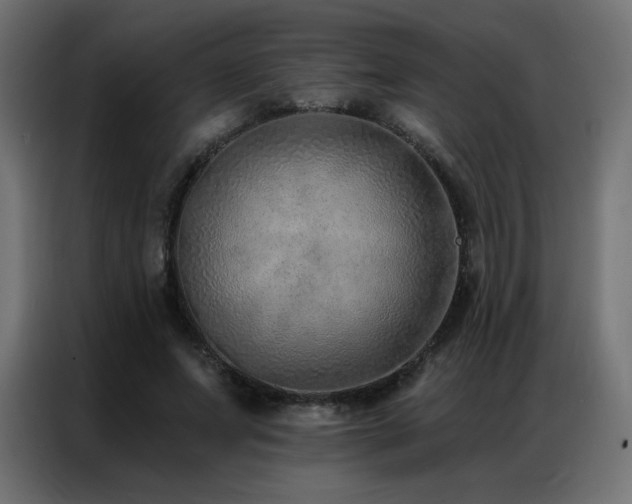 X0000086930687200704161425