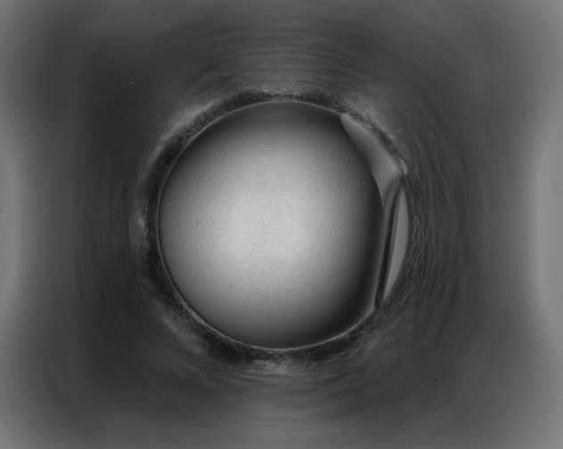 X0000086930688200704161424