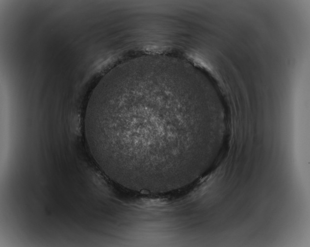 X0000086930689200704161424