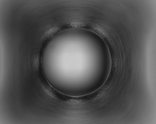 X0000086930690200704161424