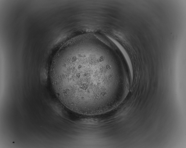 X0000086930691200704161424