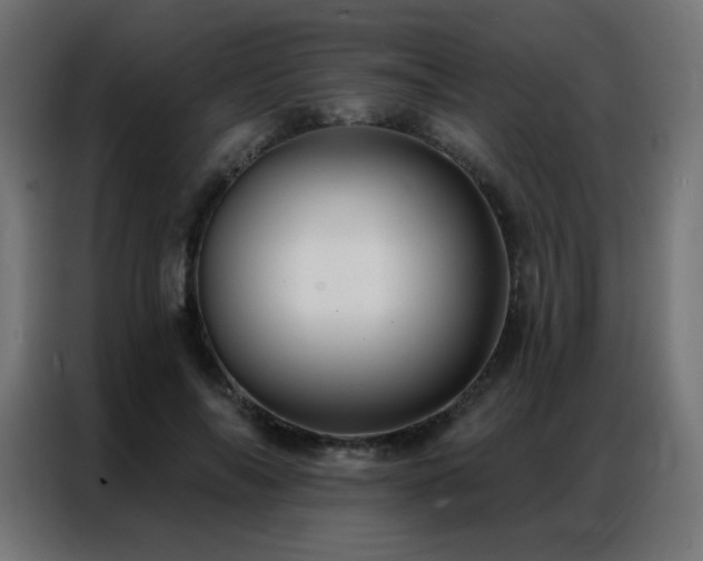 X0000086930694200704161424