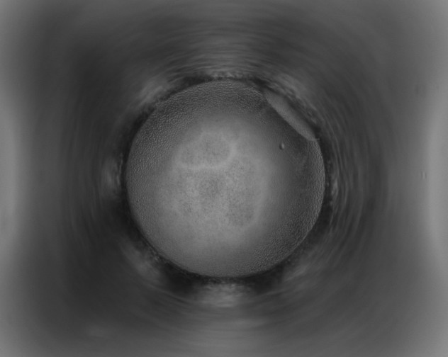 X0000086930695200704161424