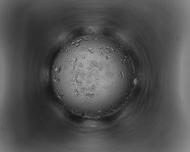 X0000086930699200704161424