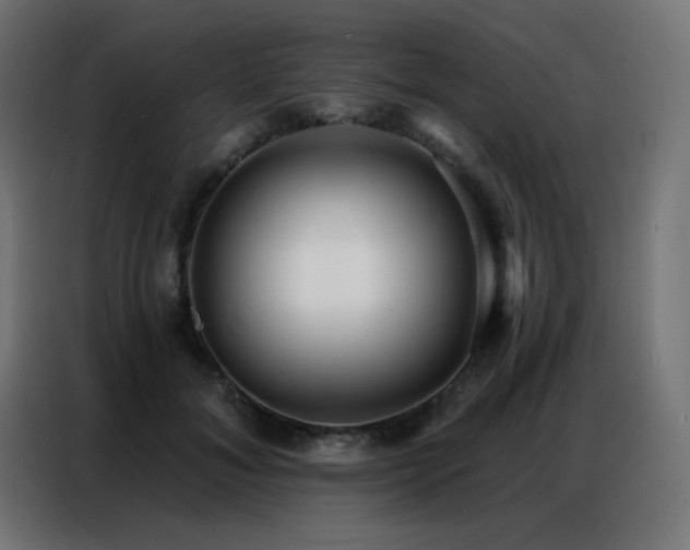 X0000086930700200704161424