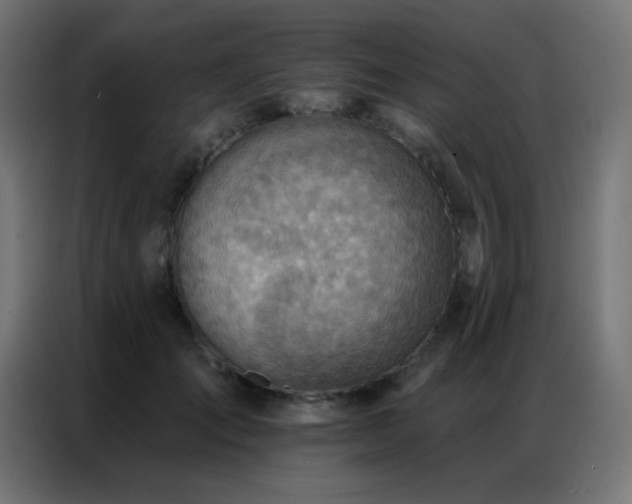 X0000086930701200704161424