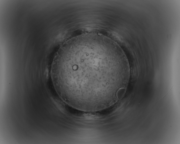 X0000086930703200704161424
