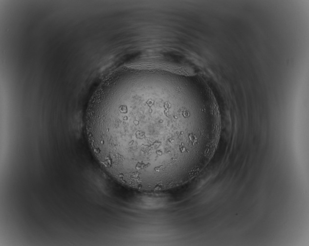 X0000086930707200704161424