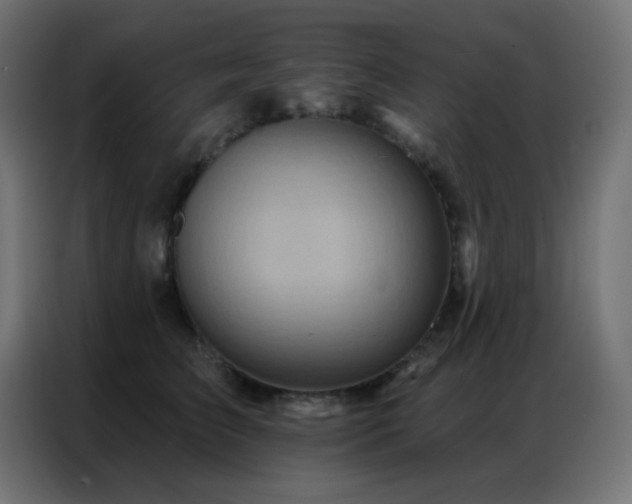 X0000086930709200704161424