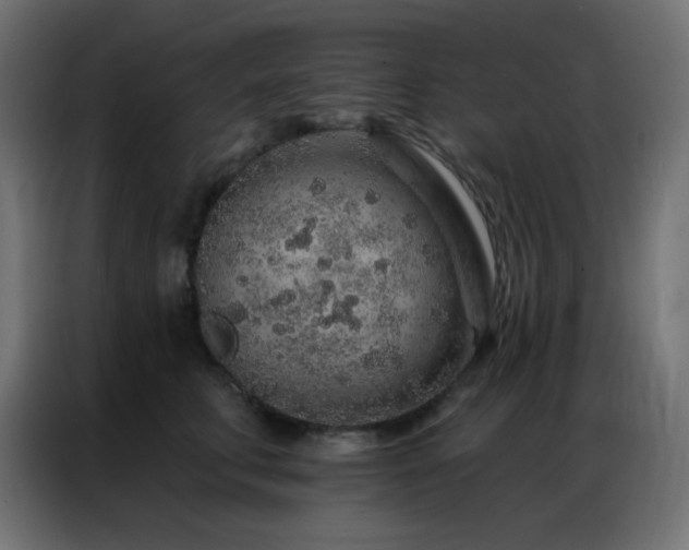 X0000086930711200704161424