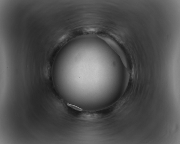 X0000086930712200704161424