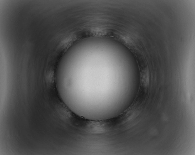 X0000086930713200704161424