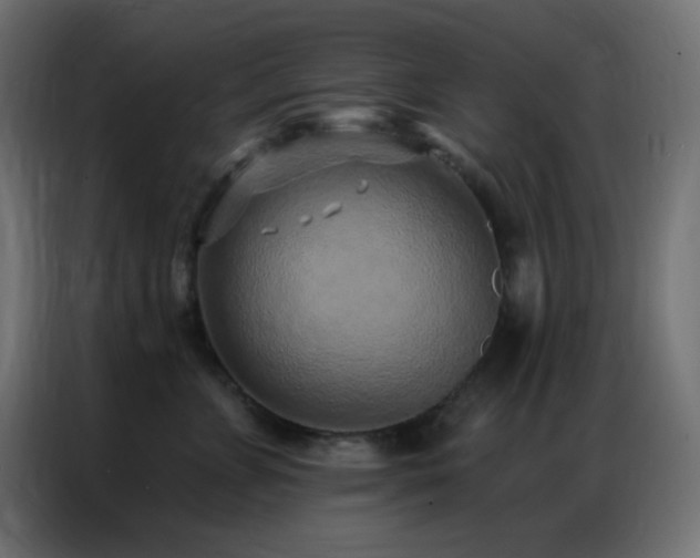 X0000086930715200704161424