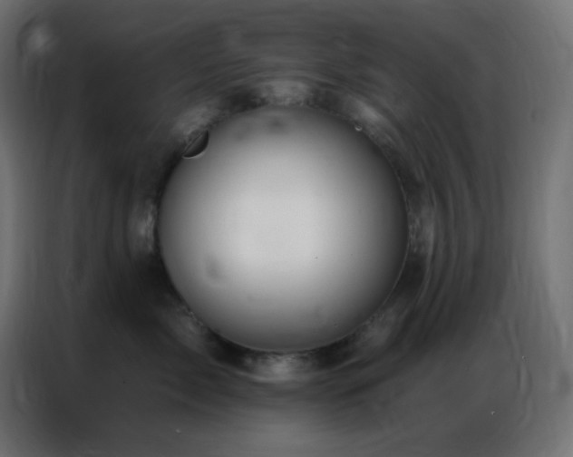 X0000086930717200704161424