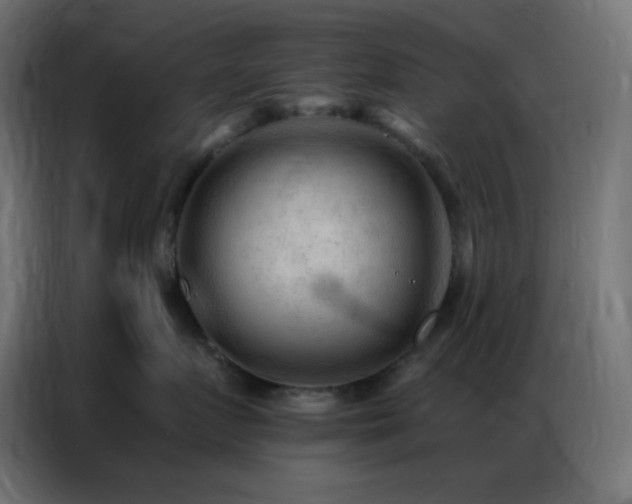 X0000086930719200704161424