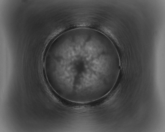 X0000086930721200704161423