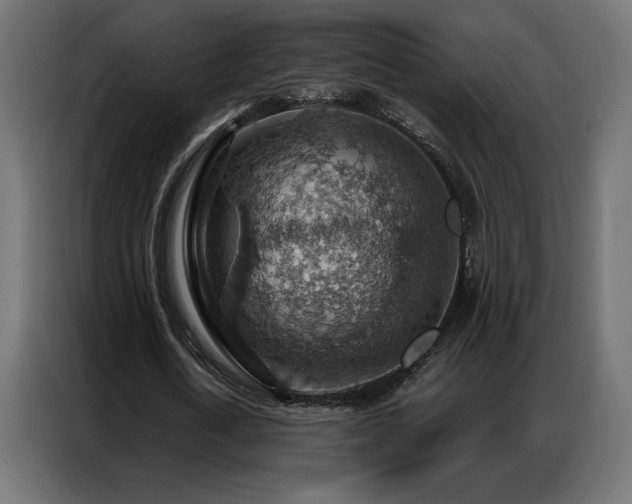 X0000086930722200704161423
