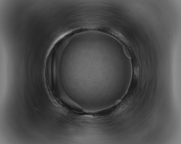X0000086930724200704161423