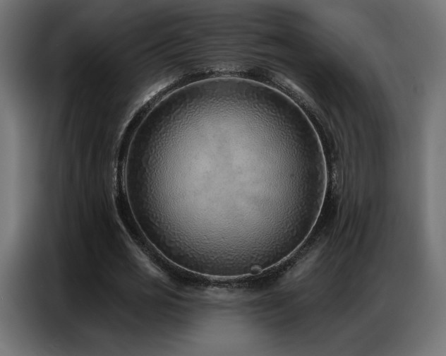 X0000086930725200704161423