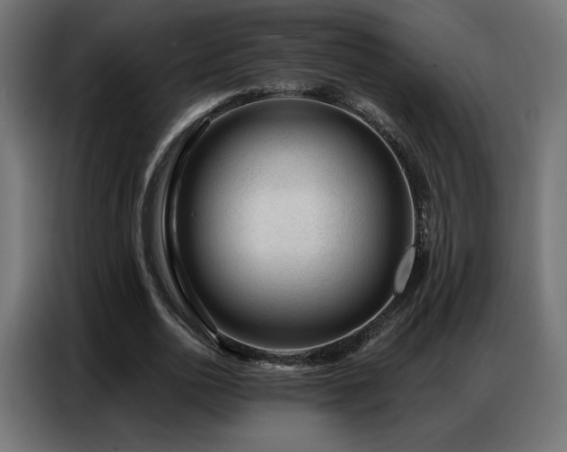 X0000086930726200704161423