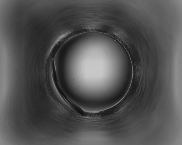 X0000086930727200704161423