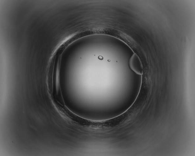 X0000086930728200704161423